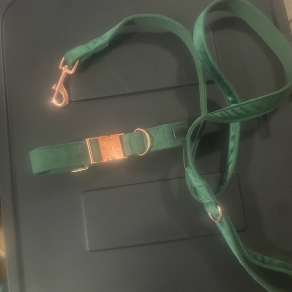 Xl Aring velvet collar and leash - Picture 2 of 2
